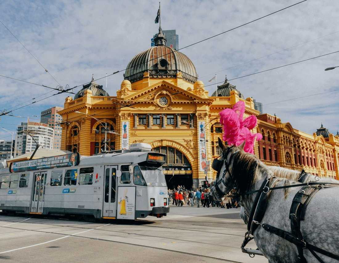 About The Melbourne Wedding Directory